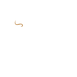 This Just Brewed Logo